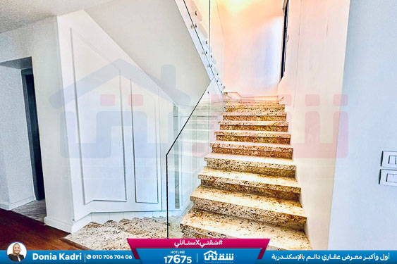 WhatsApp Image 2025-05-10 at 2.46.59 AM (1)