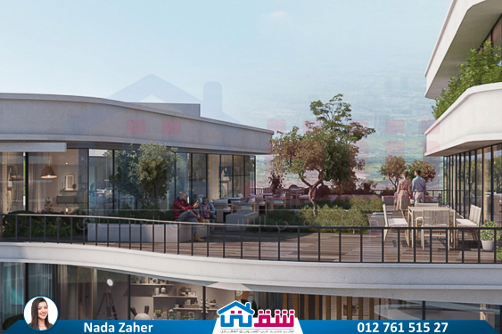 WhatsApp Image 2025-05-26 at 11.07.29 AM (1)