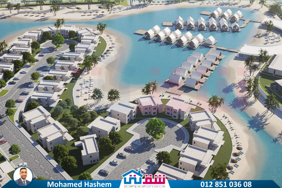 WhatsApp Image 2025-05-27 at 2.57.53 PM