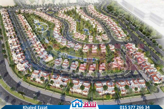 WhatsApp Image 2025-05-31 at 4.30.35 PM (1)