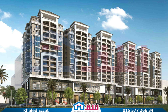 WhatsApp Image 2025-05-31 at 4.30.35 PM