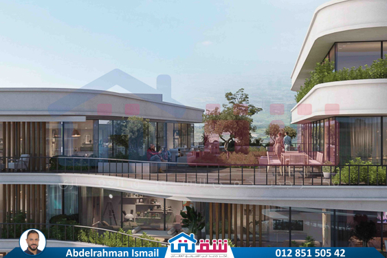 WhatsApp Image 2025-06-03 at 11.38.29 AM (4)