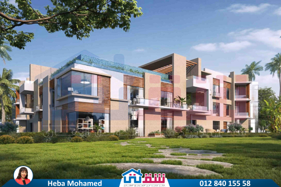 WhatsApp Image 2025-06-10 at 2.33.49 PM