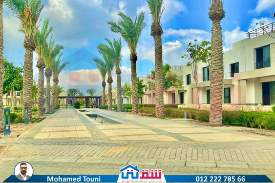 WhatsApp Image 2025-06-11 at 4.51.11 PM (1)