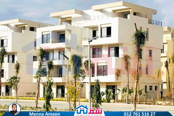 WhatsApp Image 2025-06-12 at 11.58.20 AM