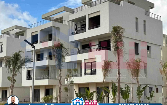 WhatsApp Image 2025-06-17 at 4.08.24 PM (2)