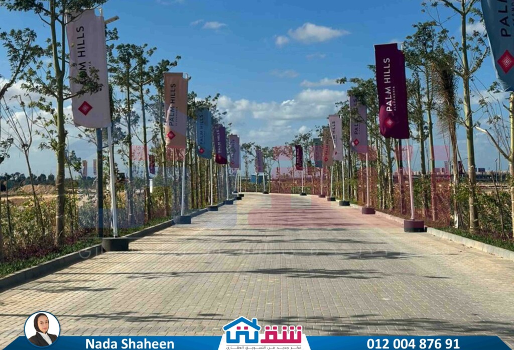 WhatsApp Image 2025-06-17 at 6.43.01 PM