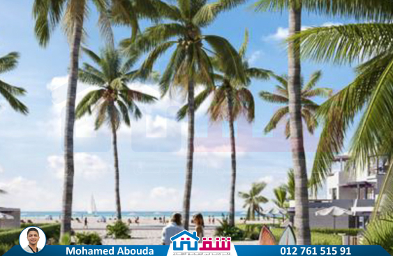 WhatsApp Image 2025-06-19 at 12.14.41 PM (3)