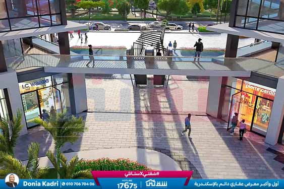 WhatsApp Image 2025-06-19 at 2.54.28 PM (11)