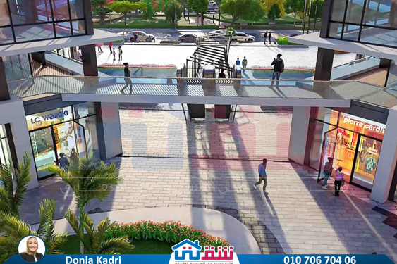 WhatsApp Image 2025-06-19 at 2.54.28 PM (11)