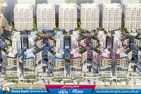 WhatsApp Image 2025-06-19 at 2.54.28 PM (14)