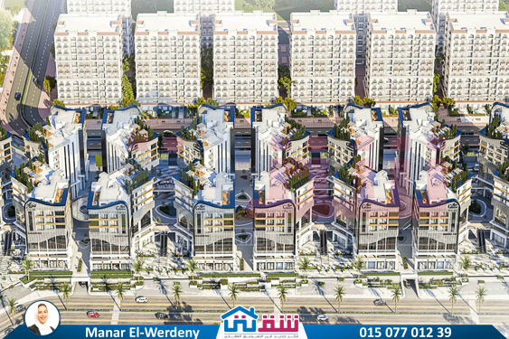 WhatsApp Image 2025-06-19 at 2.54.28 PM (14)