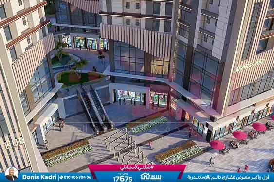 WhatsApp Image 2025-06-19 at 2.54.28 PM (5)