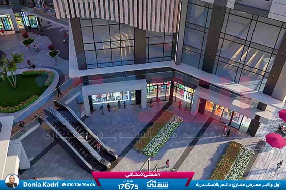 WhatsApp Image 2025-06-19 at 2.54.28 PM (6)