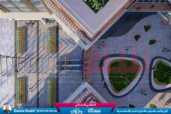 WhatsApp Image 2025-06-19 at 2.54.28 PM (7)