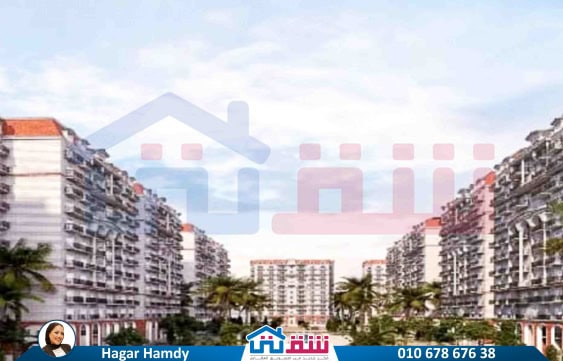 WhatsApp Image 2025-06-19 at 2.54.29 PM (4)-2-2