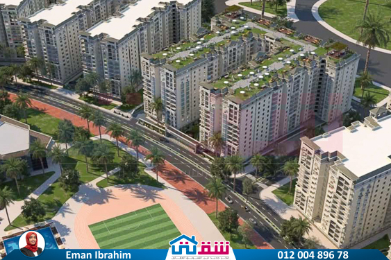 WhatsApp Image 2025-06-22 at 10.50.56 AM (1)