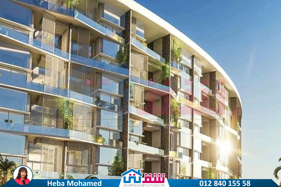 456763065_936641951831041_5659839821218352683_n