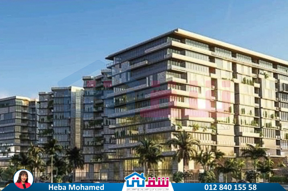 457143261_936641858497717_4190734054235641365_n