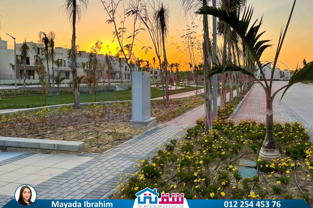 510396204_1172590991569468_2363656099626145676_n