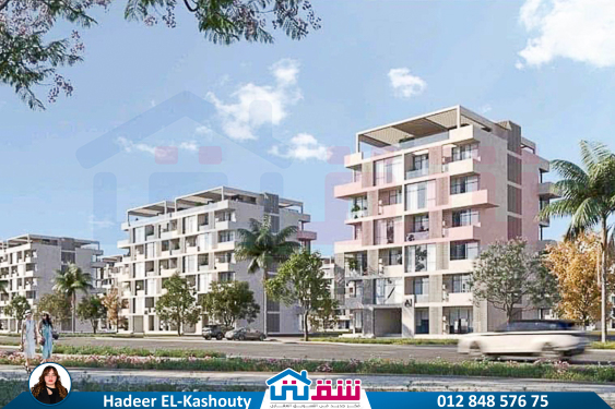 IMG-20250701-WA0024-2