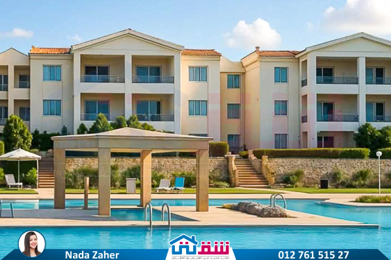 IMG-20250705-WA0101-2-2