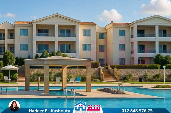 IMG-20250705-WA0101-3