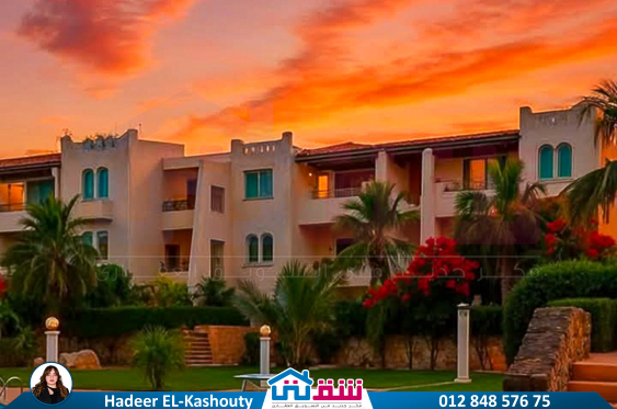 IMG-20250705-WA0103-3