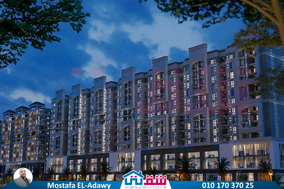 IMG-20250712-WA0013-2