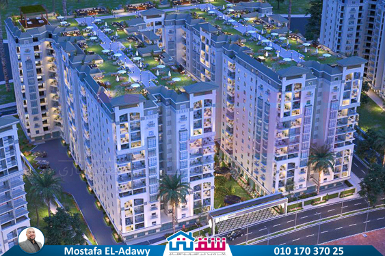 IMG-20250712-WA0015-2