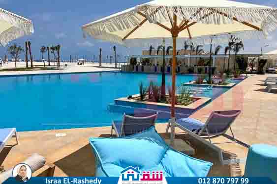 Seashore live shots-1