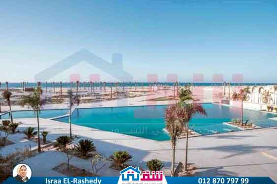 Seashore live shots-11