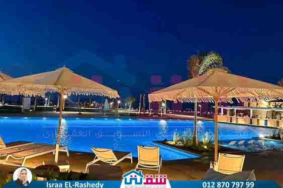 Seashore live shots-12