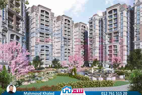 WhatsApp Image 2024-07-01 at 6.48.10 AM