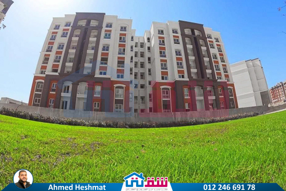 WhatsApp Image 2024-10-07 at 11.59.57 AM (2)