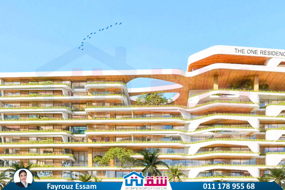 WhatsApp Image 2024-11-20 at 8.29.36 PM (2)