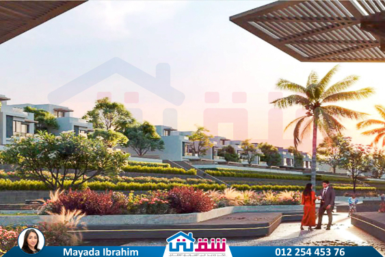 WhatsApp Image 2024-11-29 at 11.26.40 PM (1)