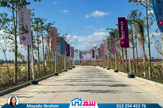 WhatsApp Image 2024-11-29 at 11.26.43 PM (1)