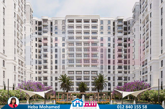 WhatsApp Image 2024-12-03 at 16.49.31_b4732c82