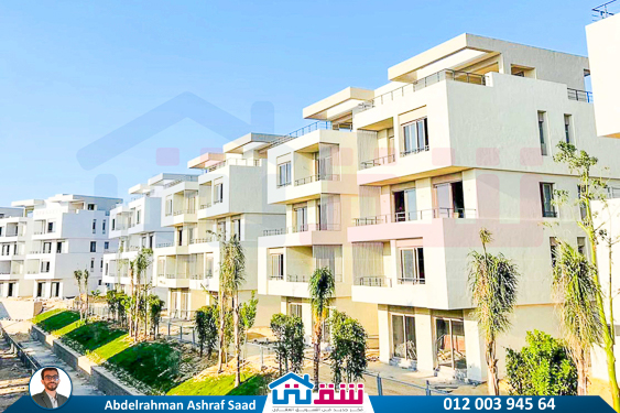 WhatsApp Image 2024-12-06 at 3.47.21 AM (1)