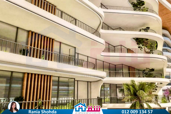 WhatsApp Image 2024-12-09 at 8.16.00 PM (2)