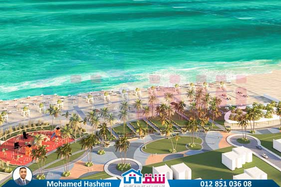 WhatsApp Image 2025-01-09 at 5.42.24 PM