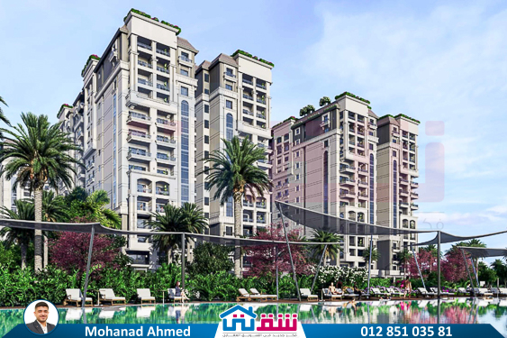 WhatsApp Image 2025-02-10 at 2.41.12 PM (1)