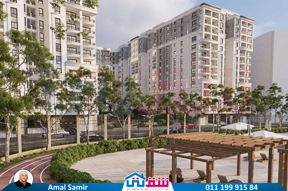 WhatsApp Image 2025-02-20 at 3.30.07 PM (2)