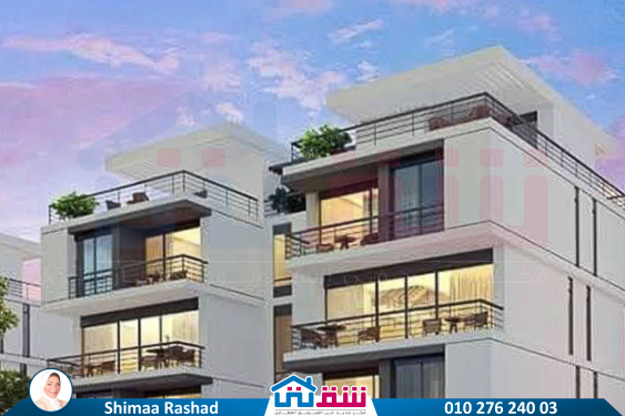 WhatsApp Image 2025-03-22 at 2.47.47 PM (1)