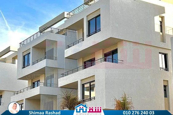 WhatsApp Image 2025-03-22 at 2.47.47 PM (3)