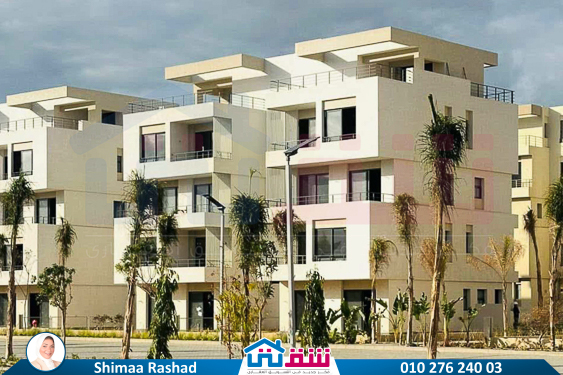 WhatsApp Image 2025-03-22 at 2.47.47 PM