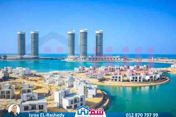 WhatsApp Image 2025-05-08 at 18.29.45 (1)