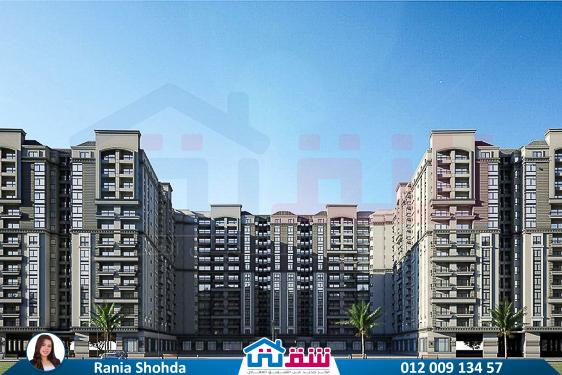 WhatsApp Image 2025-05-14 at 4.04.08 PM (3)