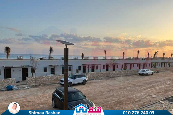 WhatsApp Image 2025-05-28 at 4.43.45 PM (1)